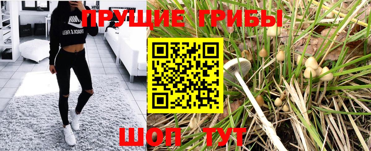 Саки  Псилоцибиновые грибы MAGIC MUSHROOMS  Вход с VPN  Псилоцибиновые грибы Magic Shrooms 