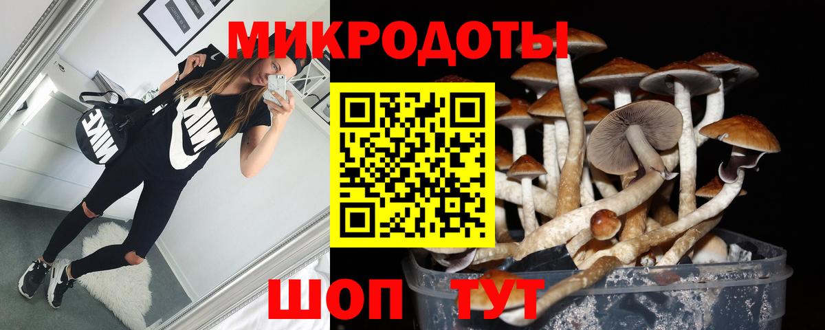 Псилоцибиновые грибы Magic Shrooms Саки